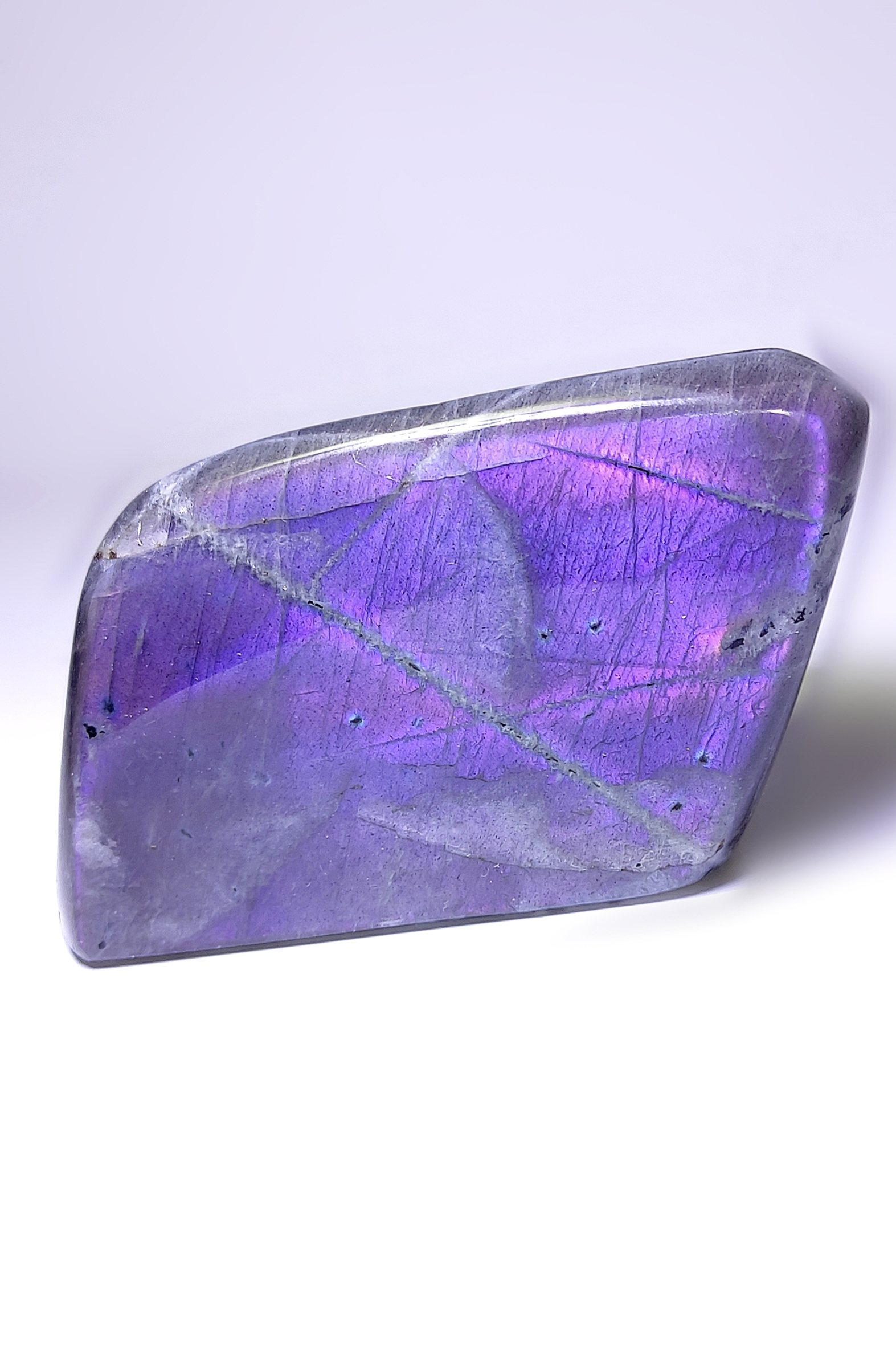 لابرادوریت بنفش کانادا 🇨🇦😍💜