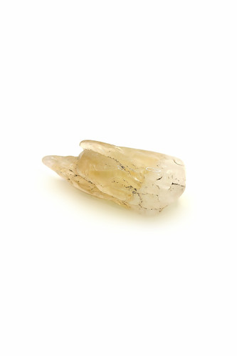 سنگ عقیق طبیعی عسلی به شکل دندان 🦷